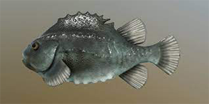 Pinagor